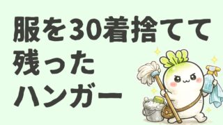服を30着捨てて残ったハンガーはコレ｜クローゼット管理が楽になった